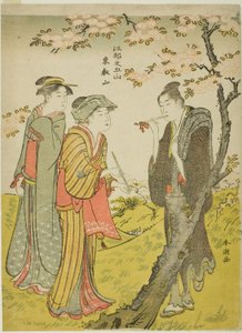 Toei Tepesi (Toeizan), "Edo