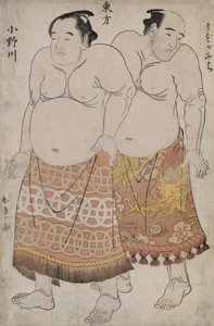 Uzugafuchi ve Onagawa