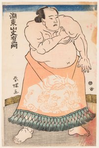 Sumo güreşçisi Kotozan