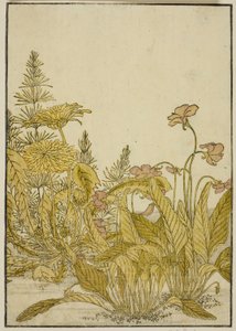 Bahar Çiçekleri: Menekşeler ve Karahindiba, "Zevk Alanlarının Güzel Kadınlarının Aynası (Seiro bijin awase sugata kagami)" kitabından, cilt. 1 by Katsukawa Shunsho