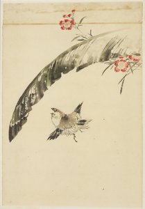 Serçe ve Muz Yaprağı ve Pembeler, 1615-1868 (kağıt üzerinde mürekkep ve renk) by Katsushika (school of) Hokusai