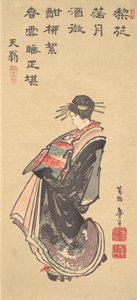 Geçit Töreninde Pek Çok Cüppe Giyinmiş Bir Fahişe, 18. yüzyılın sonları ve 19. yüzyılın başlarında. by Katsushika Hokusai
