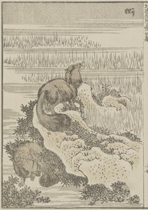Porsuk, c. 1840 (tahta baskı) by Katsushika Hokusai