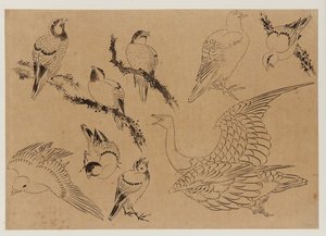 Kuşlar, Edo dönemi, 18. yüzyılın sonu - 19. yüzyılın başı. by Katsushika Hokusai