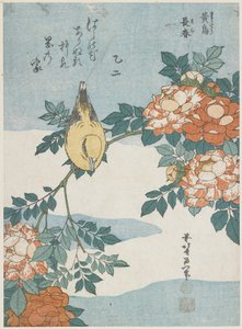 Siyah Naped Oriole ve China Rose, c. 1833 by Katsushika Hokusai