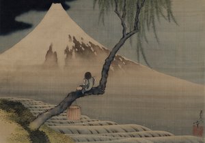Fuji Dağı