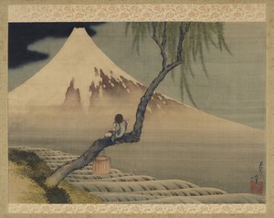 Fuji Dağı