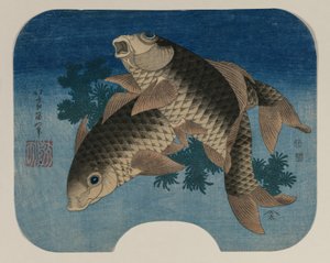 Su Otlarıyla Yüzen Sazan by Katsushika Hokusai