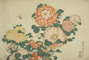 Kasımpatı ve Arı, İsimsiz Büyük Çiçekler serisinden, c.1833-34 by Katsushika Hokusai