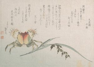 Yengeç ve Pirinç Fabrikası, 19. yüzyıl. by Katsushika Hokusai