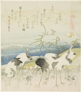 Kıyıdaki Turnalar, Bacak Kabuğu (Ashigai) için çizim, "Genroku dönemi Şiir Kabukları ile Eşleştirme Oyunu (Genroku kasan kai awase)" serisinden by Katsushika Hokusai