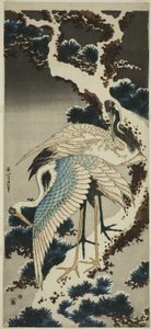 Karla kaplı çam üzerinde vinçler by Katsushika Hokusai