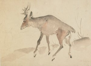 Geyik, 18. yüzyılın sonu ve 19. yüzyılın başı. by Katsushika Hokusai