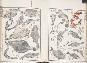 Balık ve deniz canlıları by Katsushika Hokusai