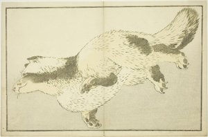Fox, Hokusai