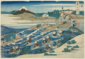 Fuji