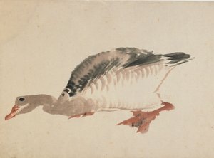 Kaz, 18. yüzyılın sonu ve 19. yüzyılın başı. by Katsushika Hokusai