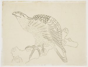 Daldaki Şahin (çalışma) by Katsushika Hokusai