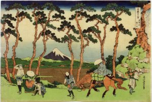 Hodogaya, Tokaido Caddesi
