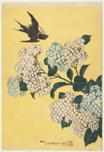 Ortanca ve Kırlangıç, isimsiz bir dizi büyük çiçekten by Katsushika Hokusai