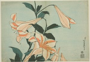 Zambaklar, isimsiz bir Büyük Çiçekler serisinden by Katsushika Hokusai