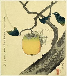 Ay, Trabzon Hurması ve Çekirge, 1807 (renkli gravür) by Katsushika Hokusai