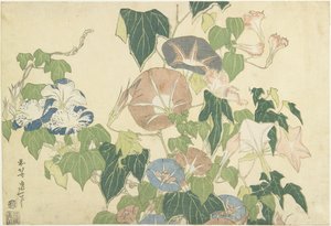 Morning Glories and Tree Frog, from the untitled series known as Large Flowers, c.1833-34 (colour woodblock print) by Katsushika Hokusai