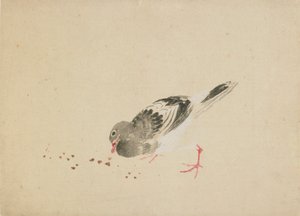 Güvercin, 18. yüzyılın sonu ve 19. yüzyılın başı. by Katsushika Hokusai