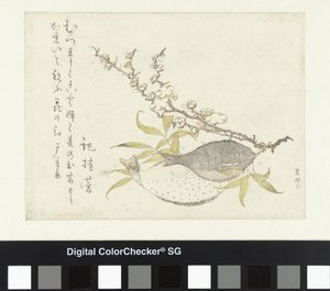 İki Yassı Balık ve Erik by Katsushika Hokusai