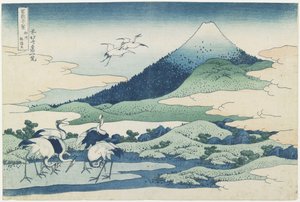 ಸಗಾಮಿ ಪ್ರಾಂತ್ಯದ ಉಮೆಜಾವಾ ಗ್ರಾಮ, 1831-1834ತುರ್ಕ್ by Katsushika Hokusai