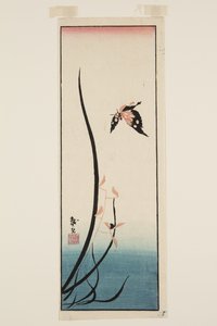 Kelebek ve Çim (renkli tahta baskı) by Katsushika II (fl.1820 50) Taito