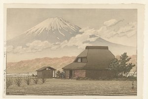 Fuji Vana f