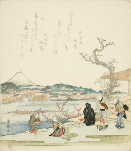 Bir çay evinden Fuji Dağı
