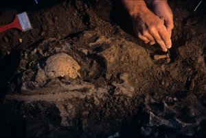 Dmanisi, Gürcistan, David Lordkipanidze, Homo Erectus by Kenneth Garrett
