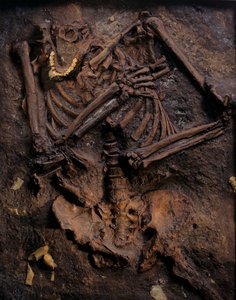 Neandertal, boyalı döküm, Kebara mağarası, Karmel Dağı, "Moshe", yaklaşık 60.000 MÖ, İsrail by Kenneth Garrett