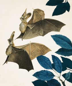  by Kenneth Lilly
