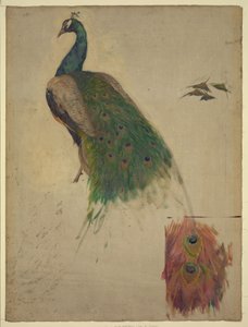 Bilimler, kulak zarında tavus kuşu çalışması, güneybatı galeri, Kongre Kütüphanesi için dekorasyon Özet/orta by Kenyon Cox