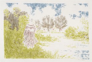 Femme en robe a rayeurs (Çizgili Elbiseli Kadın), 1899-1900 (renkli litografi) by Ker Xavier Roussel