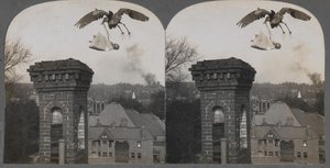 Eski Zamanlarda, İnsanlar İyi Olsaydı, Leylek Bir Bebeği Tatlı ve Güzel Getirirdi, 1907. by Keystone View Company