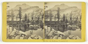 Mt. Hoffman, Yosemite, Cal., 185575. Yaratıcılar: Kilburn Brothers, BW Kilburn.