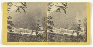 Profil Evi, Franconia Notch, 185575. Yaratıcılar: Kilburn Brothers, BW Kilburn.