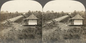 Afrika ve Aktörlerin 14 stereografı grubu, 1850