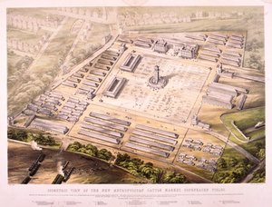 Büyükşehir Sığır Pazarı, Londra, 1855