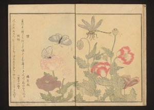 Poppies yakınındaki kelebekler ve yusufçuk by Kitagawa Utamaro