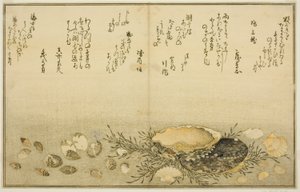 Chidori-dışarı, ağrı-dışarı, abalone, transfer-dışarı, asari-dışarı, plan d kişi Allah, k "tekniği fts te eh b zemin (gelgit kurutma) Bract) ” by Kitagawa Utamaro