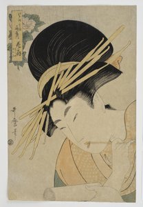 Ogiya Evi