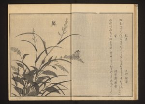 Çokgen üzerinde kriket ve ateş böcekleri ve zaten by Kitagawa Utamaro