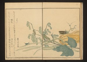Fasulye üzerinde çekirge ve kavun üzerinde peygamber devesi by Kitagawa Utamaro