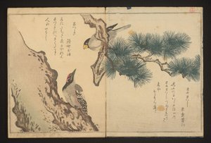 Grosbeak ve ağaçkakan by Kitagawa Utamaro