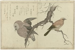 Jay ve baykuş by Kitagawa Utamaro